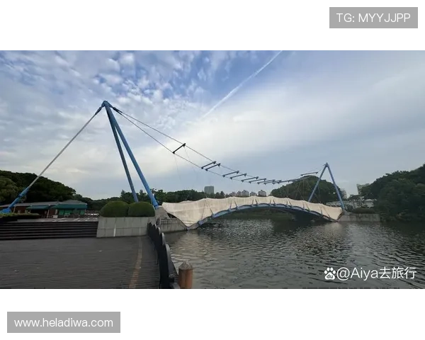 上海海港世纪公园迎来城市与自然交融的全新观赏体验 上海海港世纪公园迎来城市与自然交融的全新观赏体验