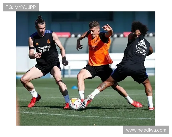 赛季训练计划全面展开，各队备战状态稳步提升