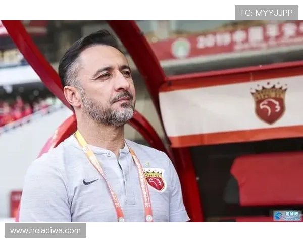 巴西队青训实力持续提升，年轻球员表现稳健备受期待