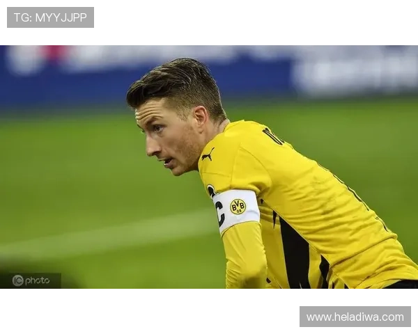 维尔茨与罗伊斯：伤病阴影下的天才成长路径对比分析